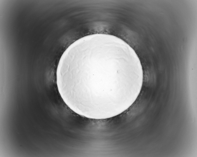 X0000088130820200706111405