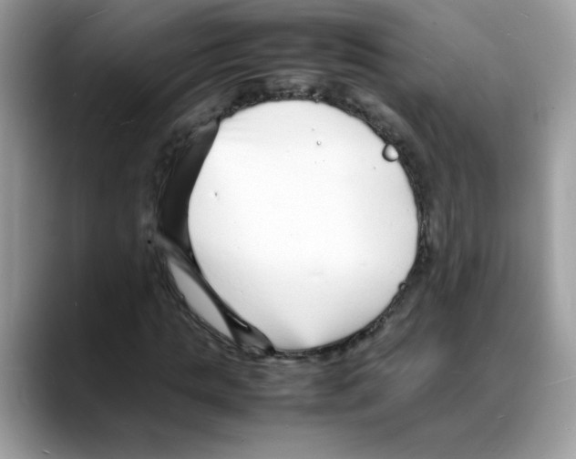 X0000088130821200706111405