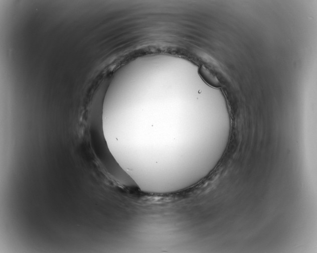 X0000088130822200706111406