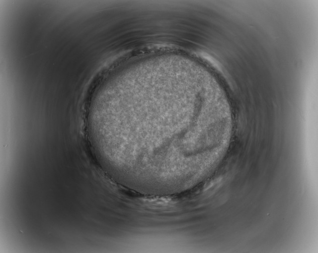 X0000088130823200706111406