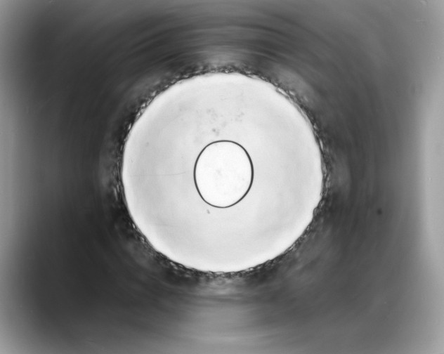 X0000088130824200706111406