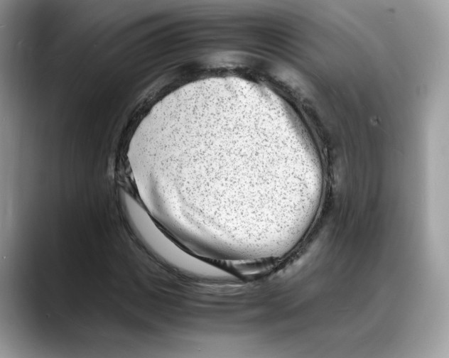 X0000088130825200706111406