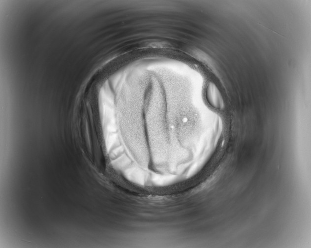 X0000088130827200706111406