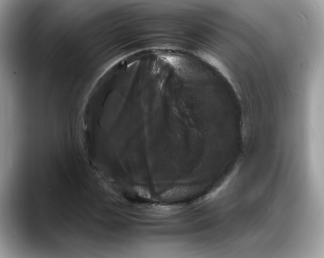 X0000088130829200706111406