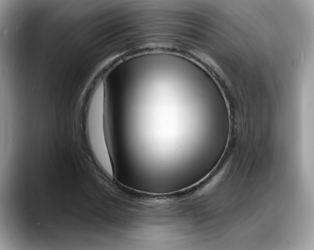 X0000088130830200706111406