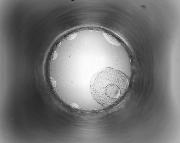 X0000088130832200706111406