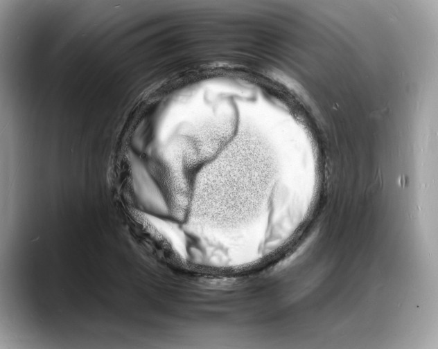 X0000088130833200706111406