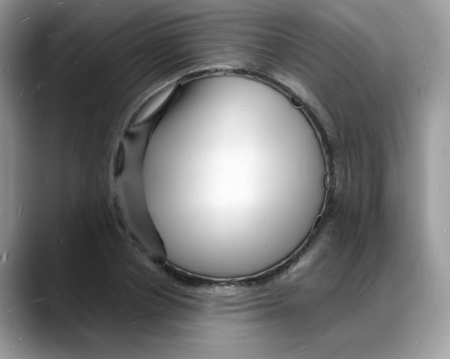 X0000088130834200706111406