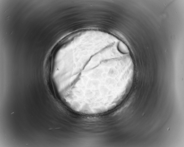 X0000088130835200706111406