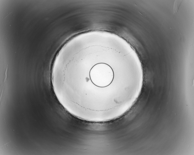 X0000088130836200706111406