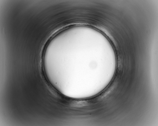 X0000088130837200706111406