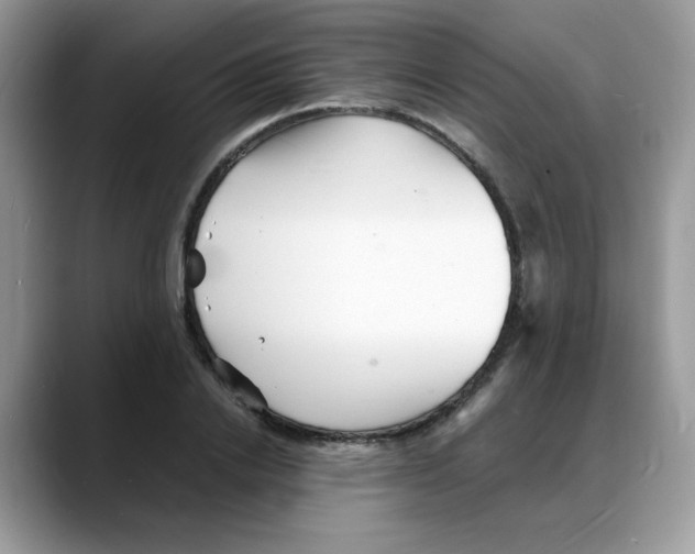 X0000088130838200706111406