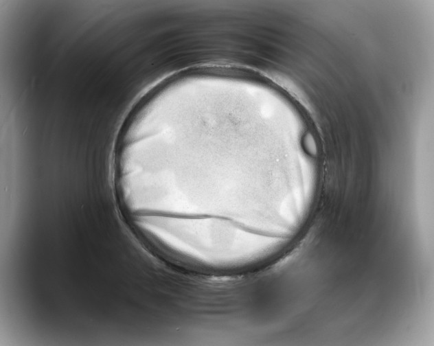 X0000088130839200706111406