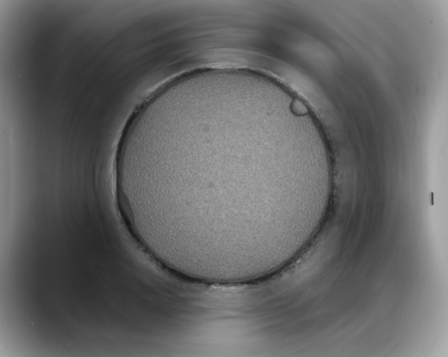 X0000088130840200706111406