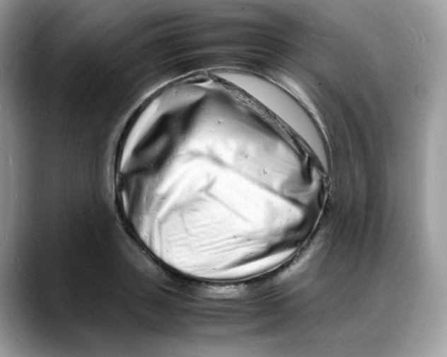 X0000088130843200706111406