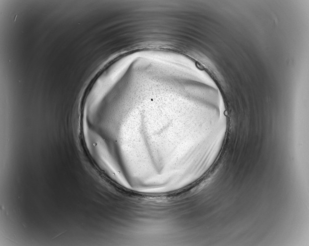 X0000088130844200706111406