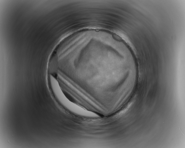 X0000088130845200706111406