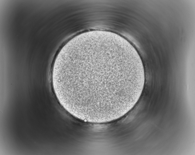 X0000088130848200706111406