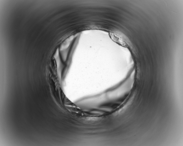 X0000088130849200706111406