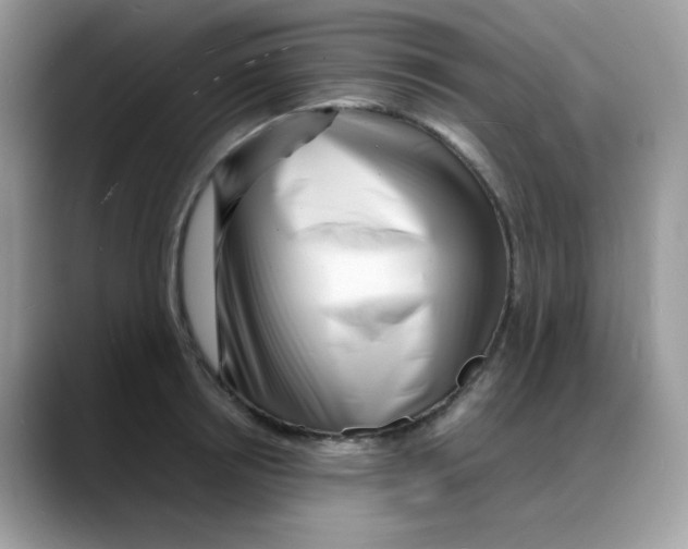 X0000088130850200706111406