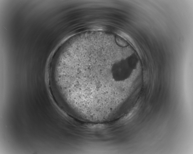 X0000088130851200706111406