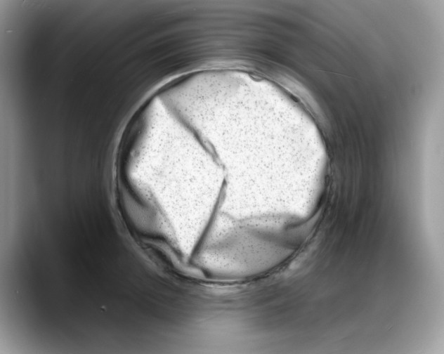 X0000088130852200706111406