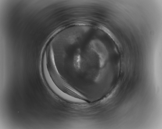 X0000088130853200706111406