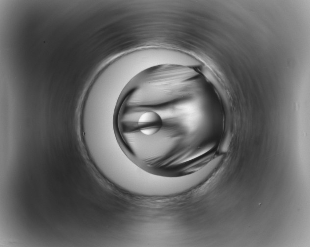 X0000088130854200706111406