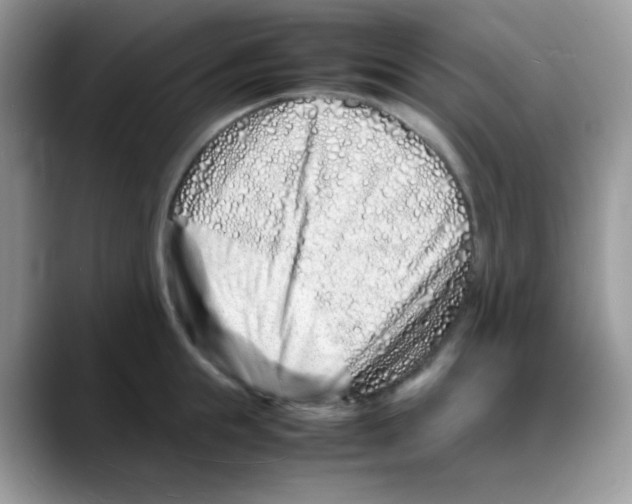 X0000088130855200706111406