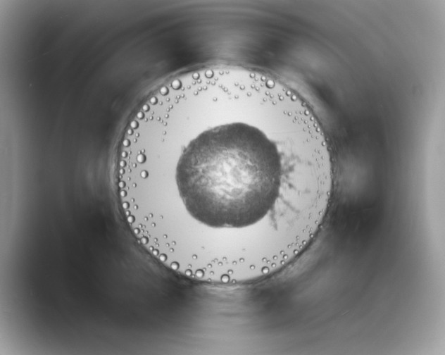 X0000088130856200706111406