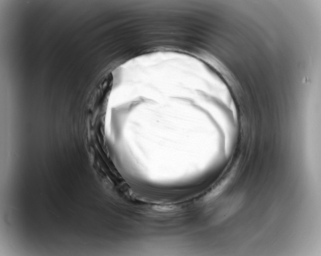 X0000088130857200706111406