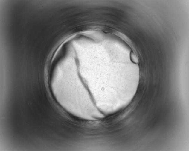 X0000088130859200706111406