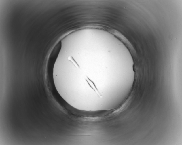 X0000088130860200706111406