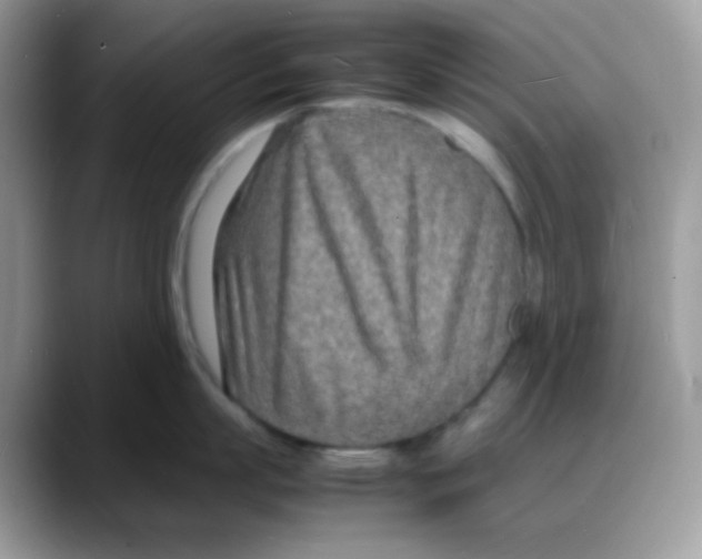 X0000088130863200706111406