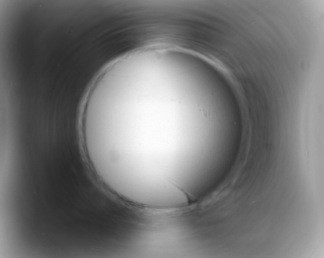 X0000088130864200706111406