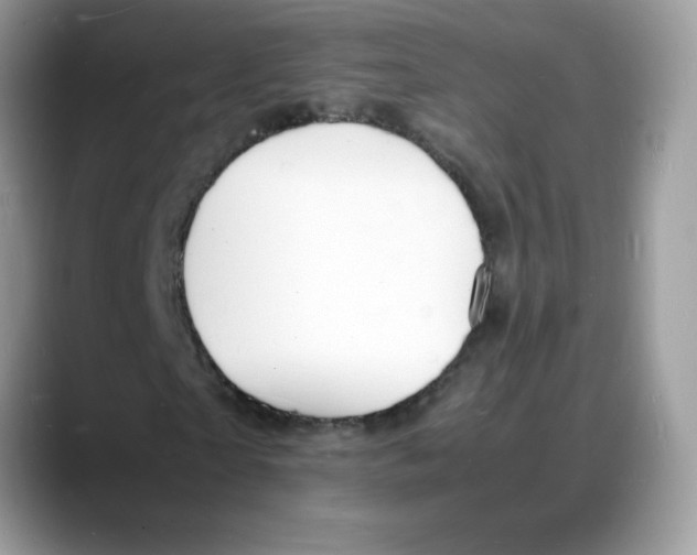 X0000088130865200706111405