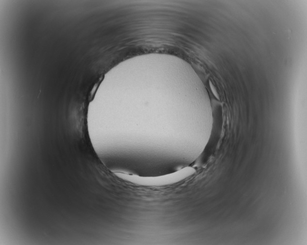 X0000088130868200706111405