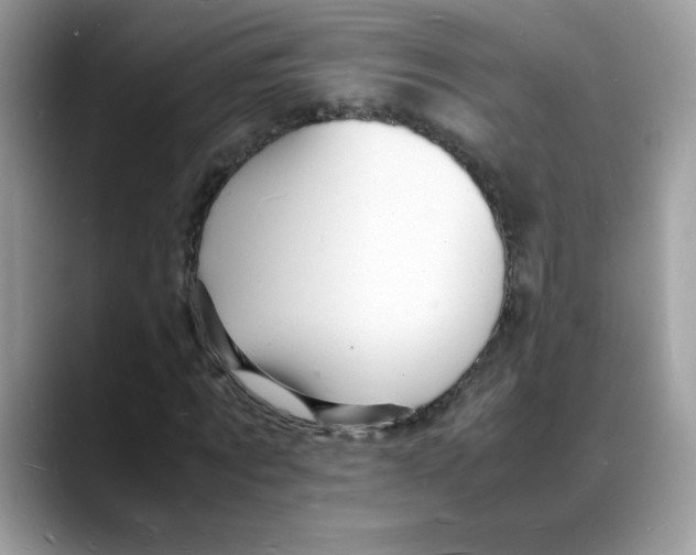 X0000088130869200706111405