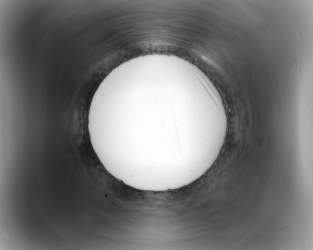 X0000088130870200706111405