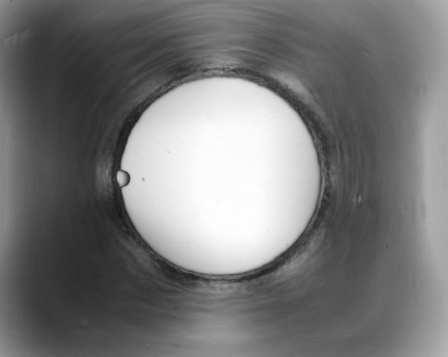 X0000088130873200706111405