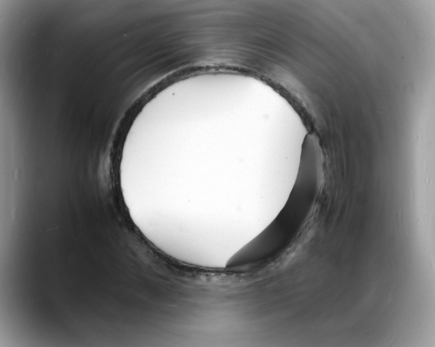 X0000088130876200706111405