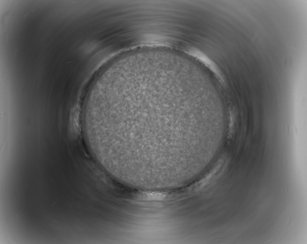 X0000088130878200706111405