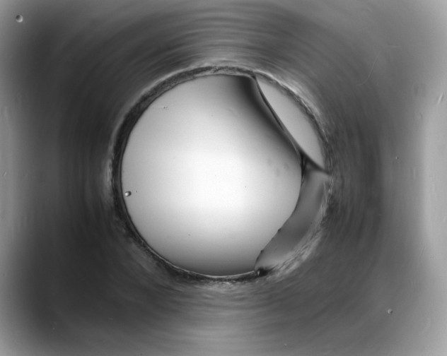 X0000088130880200706111405