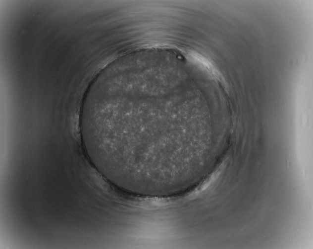 X0000088130881200706111405