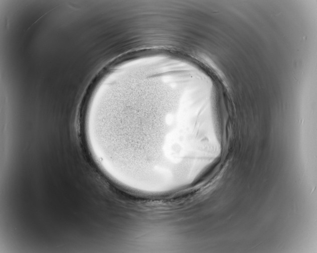 X0000088130883200706111405