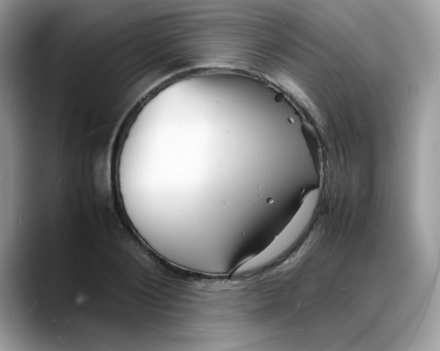 X0000088130884200706111405