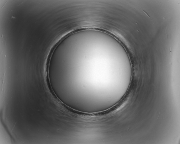 X0000088130885200706111405