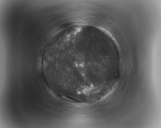 X0000088130889200706111405