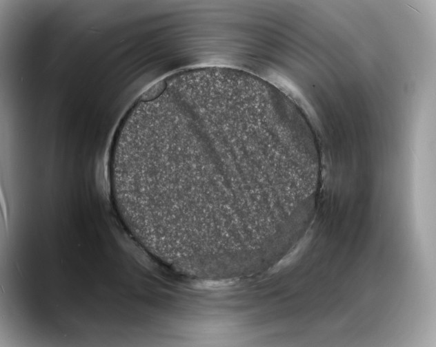 X0000088130892200706111405