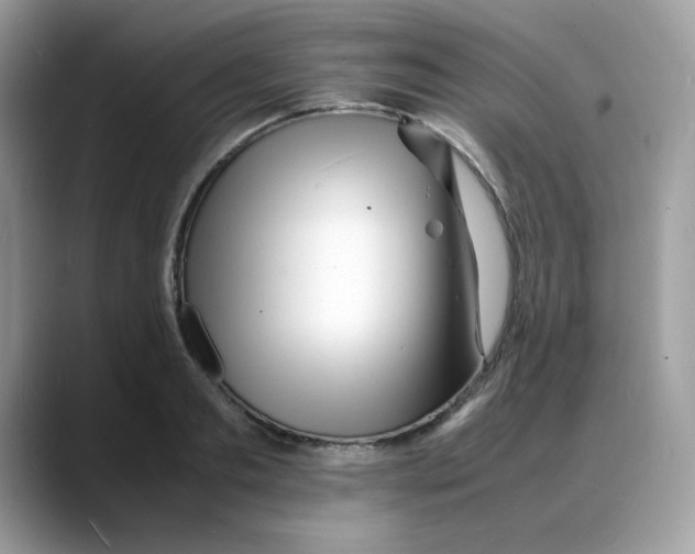 X0000088130893200706111405